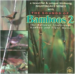 The Sounds Of Bamboos 2
