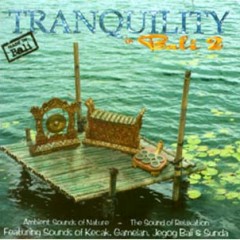 tranquility in bali 2