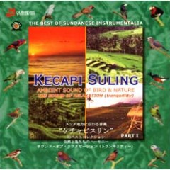 kecapi suling bird 1