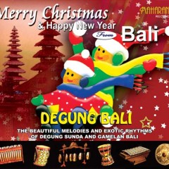 merry christmas and happy new year from bali