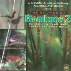the sounds of bamboos 2