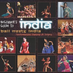 beginner's guide to india