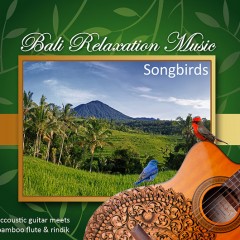 accoustic guitar meets bamboo flute & rindik